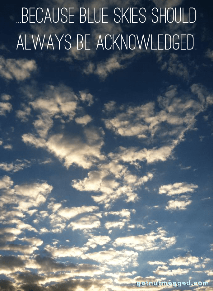 blue skies adhd getnutmegged