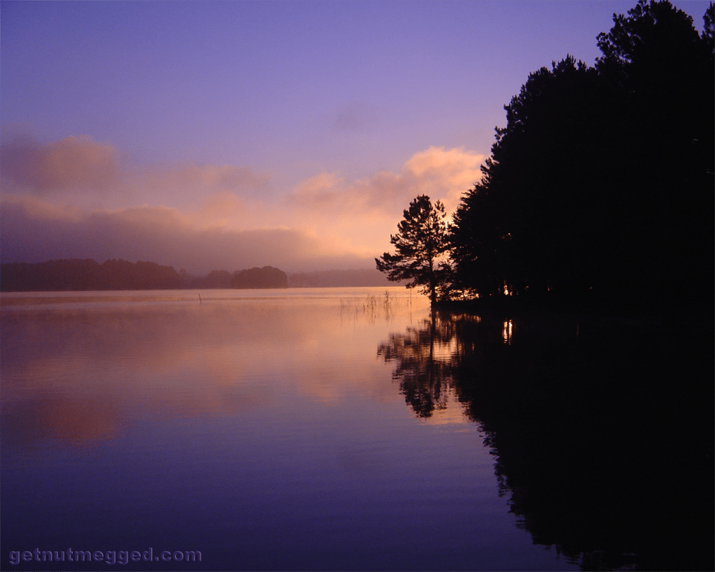 The World Through Smudged and Cracked Rose-Colored (ADHD) Glasses | Get ...